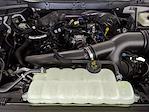 2025 Ford F-150 SuperCrew Cab 4x2 Pickup for sale #250785 - photo 26