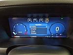 New 2025 Ford F-150 XL Regular Cab Pickup for sale #250817 - photo 17
