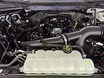 New 2025 Ford F-150 XL Regular Cab Pickup for sale #250817 - photo 24