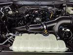 2025 Ford F-150 SuperCrew Cab 4x2 Pickup for sale #250870 - photo 26