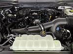 2025 Ford F-150 SuperCrew Cab 4x4 Pickup for sale #251175 - photo 26