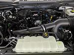 2025 Ford F-150 SuperCrew Cab 4x4 Pickup for sale #251179 - photo 26