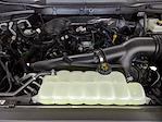 New 2025 Ford F-150 STX SuperCrew Cab 4x4 Pickup for sale #251205 - photo 26