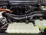 2025 Ford F-150 SuperCrew Cab 4x4 Pickup for sale #251227 - photo 28