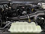 New 2025 Ford F-150 XL Regular Cab Pickup for sale #251352 - photo 21