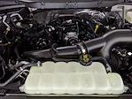 2025 Ford F-150 SuperCrew Cab 4x4 Pickup for sale #251461 - photo 26