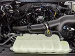 2025 Ford F-150 Super Cab 4x2 Pickup for sale #251462 - photo 28