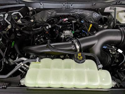 New 2025 Ford F-150 - photo 1