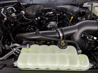 New 2025 Ford F-150 - photo 1