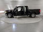 2025 Ford F-150 SuperCrew Cab RWD Pickup for sale #251882 - photo 11