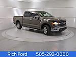 2025 Ford F-150 SuperCrew Cab RWD Pickup for sale #251883 - photo 1
