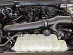 2025 Ford F-150 SuperCrew Cab 4x4 Pickup for sale #G251165 - photo 26