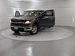 New 2025 Ford F-150 XLT SuperCrew Cab 4x4 Pickup for sale #G250313 - photo 12