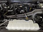 New 2025 Ford F-150 XLT SuperCrew Cab 4x4 Pickup for sale #G250313 - photo 26