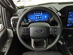 2025 Ford F-150 SuperCrew Cab 4x4 Pickup for sale #G250572 - photo 15