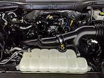 New 2025 Ford F-150 STX SuperCrew Cab for sale #G250739 - photo 26