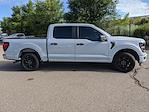 2025 Ford F-150 SuperCrew Cab 4x2 Pickup for sale #G250834 - photo 3