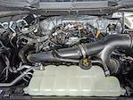 2025 Ford F-150 SuperCrew Cab 4x2 Pickup for sale #G250834 - photo 25