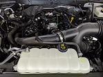 2025 Ford F-150 SuperCrew Cab 4x2 Pickup for sale #G250881 - photo 26