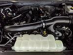 2025 Ford F-150 SuperCrew Cab 4WD Pickup for sale #G251047 - photo 27