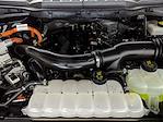 2024 Ford F-150 SuperCrew Cab 4x4 Pickup for sale #P7936 - photo 27