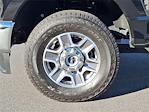 2024 Ford F-250 Crew Cab 4WD Pickup for sale #4556F - photo 8
