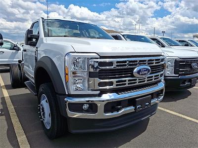 New 2024 Ford F-600 Regular Cab Cab Chassis for sale #FL29698 - photo 2