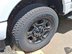 2024 Ford F-250 Crew Cab 4x4 Pickup for sale #FL29846 - photo 5
