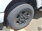 2024 Ford F-250 Crew Cab 4x4 Pickup for sale #FL29866 - photo 5