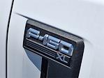 New 2024 Ford F-150 XL Regular Cab Pickup for sale #FL30276 - photo 3