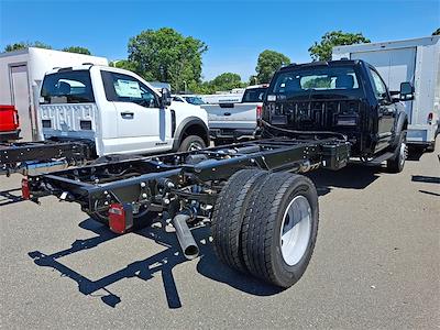 2025 Ford F-600 Regular Cab DRW 4WD Cab Chassis for sale #FL31639 - photo 2