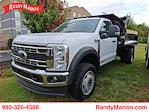 2024 Ford F-600 Regular Cab DRW 4WD Cab Chassis for sale #FL31861 - photo 1