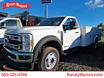 2023 Ford F-450 Regular Cab DRW 4x2 Service Truck for sale #FT28317 - photo 1