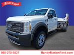 2025 Ford F-550 Regular Cab DRW RWD Cab Chassis for sale #FT30199 - photo 1