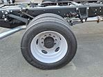 2025 Ford F-550 Regular Cab DRW RWD Cab Chassis for sale #FT30286 - photo 4