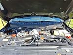 2025 Ford F-250 Crew Cab 4WD Pickup for sale #FT30490A - photo 25