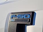 New 2026 Ford F-150 XL Regular Cab for sale #FT30799 - photo 9