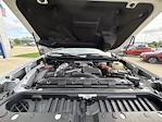 2022 Chevrolet Silverado 3500 Crew Cab 4x4 Pickup for sale #60435P - photo 29