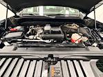 2023 Chevrolet Silverado 1500 Crew Cab 4WD Pickup for sale #P4369 - photo 28