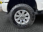 Used 2017 Ford F-250 Platinum Crew Cab for sale #HEC53487 - photo 14