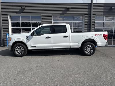 Used 2021 Ford F-150 - photo 1