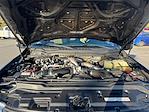 2022 Ford F-250 Crew Cab 4WD Pickup for sale #NED69241 - photo 19