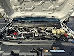 2023 Ford F-350 Crew Cab SRW 4WD Pickup for sale #PED06927 - photo 19