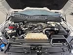 2023 Ford F-150 SuperCrew Cab 4WD Pickup for sale #PFA78905A - photo 19