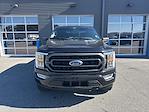 2023 Ford F-150 SuperCrew Cab 4WD Pickup for sale #PKE64360 - photo 5