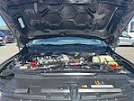 2024 Ford F-350 Crew Cab SRW 4WD Pickup for sale #REC36050 - photo 19