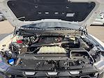 2024 Ford F-150 SuperCrew Cab 4WD Pickup for sale #RFC21539 - photo 19