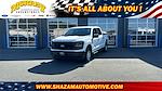 2024 Ford F-150 SuperCrew Cab 4x4 Pickup for sale #RKD50915 - photo 1