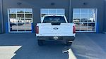 2024 Ford F-150 SuperCrew Cab 4x4 Pickup for sale #RKD50915 - photo 4
