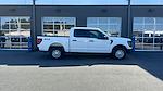 2024 Ford F-150 SuperCrew Cab 4x4 Pickup for sale #RKD50915 - photo 8